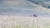 &#39;영남알프스&#39; 울산 울주군 간월재에 핀 억새를 따라 등산객들이 가을을 즐기고 있다.[연합뉴스]