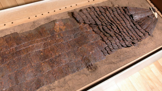 신문배달소년이 발견한 1500년전 가야 ‘말 갑옷’, 보물 된다