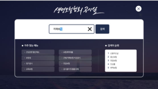 내게 맞는 보험상품은?…비교공시 사이트에 ’검색창‘ 떳다