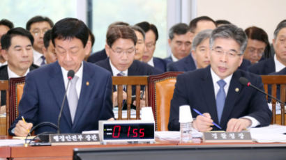 행안위 국감서 '美대사관저 월담사건' 화두…경찰 무기력 대응 질타