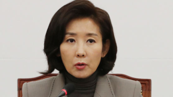 나경원 "공수처 설치, 반드시 막을 것…의원직 총사퇴, 실효 카드 아냐"