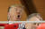 도널드 트럼프 미국 대통령이 27일 워싱턴 내셔널스와 휴스턴 아스트로스의 월드시리즈 5차전을 관람하고 있다. [AFP=연합뉴스]