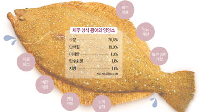 [라이프 트렌드] 활어 → 숙성 회 → 미쉐린 요리…입맛 사로잡는 광어의 변신