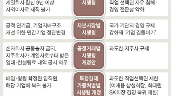 여의도 안 거치고 늘어나는 ‘기업 길들이기법’