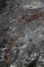 28일(현지시간) 로스앤젤레스 맨데빌 협곡에서 소방대원들이 화재가 난 산비탈을 걷고 있다. [AP=연합뉴스]