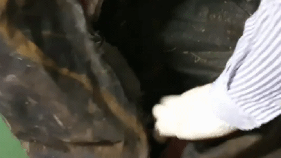 화물선서 발견된 ‘3000억원 코카인’ 가방…필리핀 선원 개입 드러나