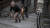  28일(현지시간) 미국 뉴욕 브롱크스 웨스트 167번가의 계단에서 관광객들이 영화 조커 속 한 장면을 패러디하며 인증사진을 찍고 있다. [AP=연합뉴스]