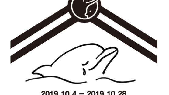생후 24일 돌고래 사망…환경단체 "돌고래 수조 사육 없애야"