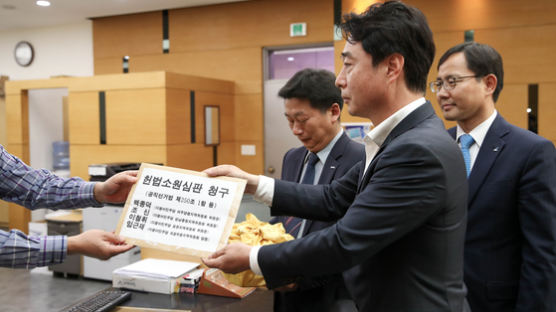헌법소원 청구…SNS구명·탄원서 이은 ‘이재명 구하기’