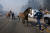 30일 캘리포니아 시미 밸리 화재로 목장주들이 인근 목장에서 말을 피신시키고 있다. [AP=연합뉴스]