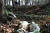 1일 오전 경기도 화성시 A공원에서 진행된 화성연쇄살인사건의 피의자 이춘재(56)가 살해한 것으로 확인된 &#39;화성 실종 초등생&#39; 유골 수색 현장에 김 양의 가족이 놓아둔 꽃이 있다.[연합뉴스]