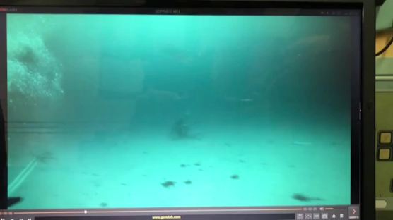 수색 투입된 수중무인탐사·포화잠수…"전 해역서 작전 가능"