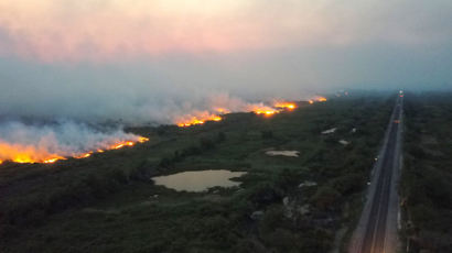 열흘째 꺼지지 않는 불…브라질 판타나우, 사상 최대 피해