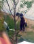 서울 마포구 경의선책거리에서 고양이를 무참히 살해한 남성 정모(39)씨. 사진은 당시 현장 폐쇄회로(CCTV)에 잡힌 정씨가 나무에 독약을 살포하는 모습. [인스타그램 캡처]