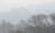 3일 오전 강원 춘천시 소양3교에서 바라본 소양강 일대에 짙은 안개가 깔려 있다. [연합뉴스]