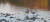 지난 5일 경기도 연천군 중면 횡산리 민통선 내 임진강 빙애여울. 월동을 위해 시베리아에서 선발대로 귀환한 재두루미 무리가 관찰됐다. [사진 연천임진강시민네트워크]