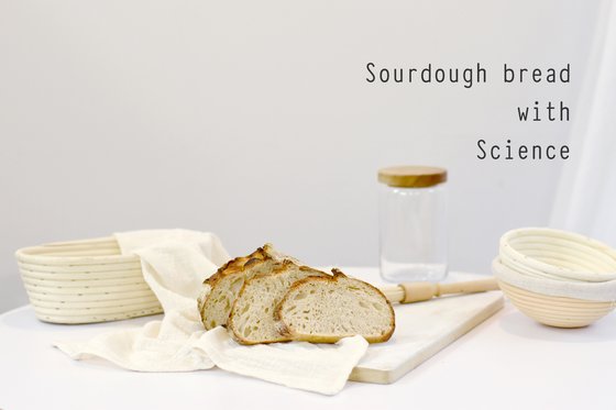 천연발효빵은 그냥 빵이 아닙니다. 과학입니다.  | 중앙일보