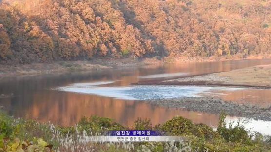 돼지열병에 막힌 DMZ관광…주민들 "못 살겠다, 풀어달라"