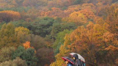 [날씨 브리핑] 잦은 가을비…나들이는 주말 오후에 하세요