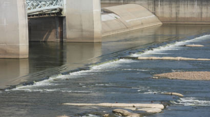 보 활짝 연 금강·영산강 녹조 줄었다···낙동강은 되레 증가