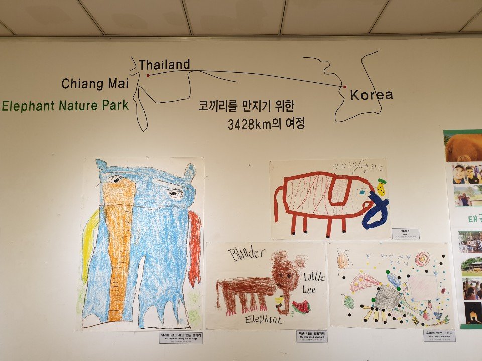 22일 전북 전주시 효자동 전북도청 1층 기획전시실에서 열리고 있는 전북맹아학교 미술 작품 전시회 &#39;도마뱀이 된 코끼리&#39;. 전북맹아학교 학생들이 지난해 &#39;우리들의 눈&#39;이 주관하는 &#39;코끼리 만지기 프로젝트&#39;에 참여해 작업한 작품도 함께 전시되고 있다. 태국 치앙마이에 있는 코끼리국립공원에서 눈이 멀거나 다리를 다친 코끼리를 직접 만져 본 뒤 이 체험을 바탕으로 저마다 상상한 코끼리를 미술 작품으로 만들었다. 김준희 기자