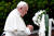 프란치스코 교황이 24 일, 일본 나가사키 원폭 폭심지에 세원진 공원에서 헌화한 뒤 기도하고 있다. 프란치스코 교황은 3박 4일 일정으로 일본을 방문 중이다. [ EPA=연합뉴스]