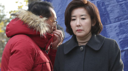 나경원, SOK 보좌진 '부당채용' 의혹…7번째 검찰 고발 당해