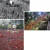 1987년 6월 항쟁 이후 광장은 시민의 뜻이 하나로 분출되는 민의의 잉태 공간이자 축제의 공간이었다. 87년 6월 항쟁, 2002 한·일 월드컵 거리 응원, 2008 광우병 촛불집회 장면. (왼쪽 위부터 시계 반대 방향)