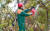 숲가꾸기패트롤 팀이 민원 현장에 출동해 생활에 지장을 주는 나무와 가지를 정리하고 있다.