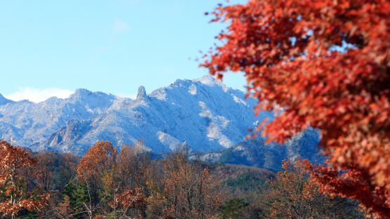 [서소문사진관]가을과 겨울 사이, 이맘때만 볼 수 있는 비현실적 풍경들