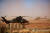 지난 8일 서아프리카 말리 북부의 프랑스군 기지에 공격용 헬기 &#39;티그르&#39;(왼쪽)가 대기 중인 모습. [AFP=연합뉴스]