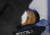 자유한국당 황교안 대표가 지난 25일 청와대 분수대 앞에서 엿새째 단식 농성을 이어가고 있다. [연합뉴스]