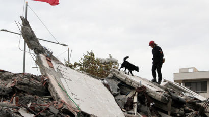 [서소문사진관] 알바니아 최악 지진피해·사망자 40명 넘어서···총리 아들 약혼녀와 가족도 숨져