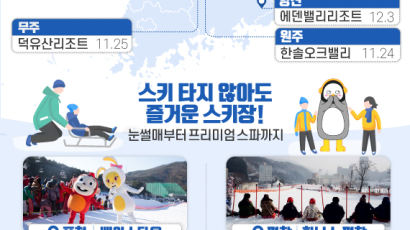 [ONE SHOT] 평창엔 겨울왕국, 홍천엔 펭수···스키 못타도 즐거운 올 스키장