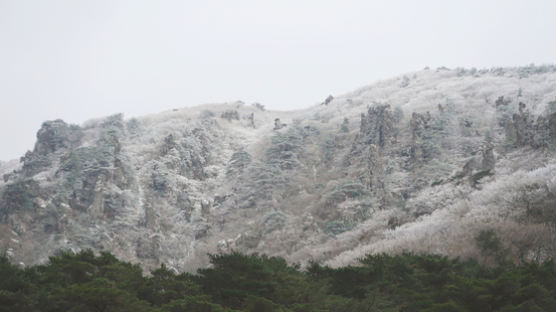 오늘 밤 늦게 서울에 눈 1㎝…경기·충청 내일 새벽까지 눈