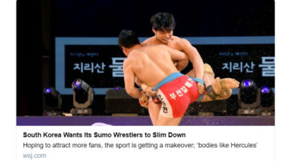 WSJ, 한국 씨름 열풍 소개하며 ‘스모(Sumo)’ 표기…누리꾼 공분