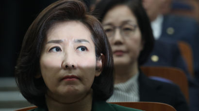 ‘나경원 교체’ 변수로 전략 수정 고심하는 민주당…이해찬 "대화 검토" 