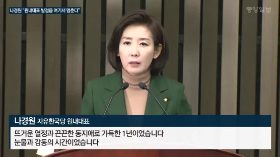 ‘나경원 교체’ 변수로 전략 수정 고심하는 민주당…이해찬 "대화 검토" 