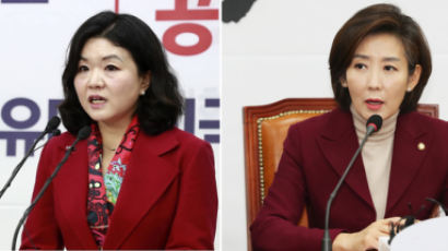 류여해, 나경원 향해 "권력은 그저 꽃송이…몸 사리더니" 비난