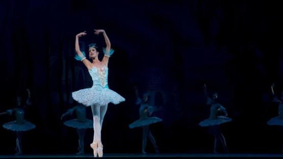 발레리나의 발가락 서기, 투우사 파소도블레…춤은 선이다