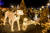 에버랜드 &#39;블링블링 골드 가든&#39;에서 볼 수 있는 별빛 동물원. [사진 에버랜드]