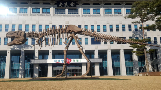 경북도청에 공룡 나타났다, 10m 앙상한 티라노 본 주민 반응