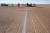  제트 엔진을 장착한 영국의 블러드하운드(Bloodhound). 지난 달 15일 남아프리카 공화국 칼라하리 사막에서 속도와 에어브레이크의 정상 작동 여부를 확인하기 위해 시험 주행이 실시됐다. [AFP=연합뉴스]