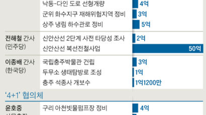 '날치기 예산' 난리에도…김재원 100억, 이해찬 5억 더 챙겼다