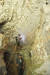  인도네시아 술라웨시 섬 동굴에서 벽화를 발굴하는 호주의 그리피스 대학 고고학 연구원들.[EPA=연합뉴스]