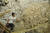  인도네시아 술라웨시 섬 동굴에서 벽화를 발굴하는 호주의 그리피스 대학 고고학 연구원들.[EPA=연합뉴스]