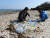 인천녹색연합 장정구 정책위원과 박정운 황해물범사민사업단장이 백령도 하늬해변으로 떠밀려온 중국산 페트병 쓰레기를 살펴보고 있다. 해변 100m에서 70여 개가 수거됐다. 강찬수 기자 