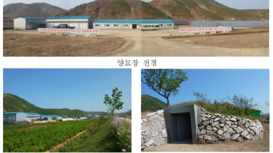 경기도 추진 ‘북한 개풍양묘장 조성 사업’ 9년만에 재개 가능성