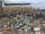 지난달 26일 상하이 빈장 산림공원의 한 나무에 비닐 쓰레기들이 엉켜 있다. 진창일 기자