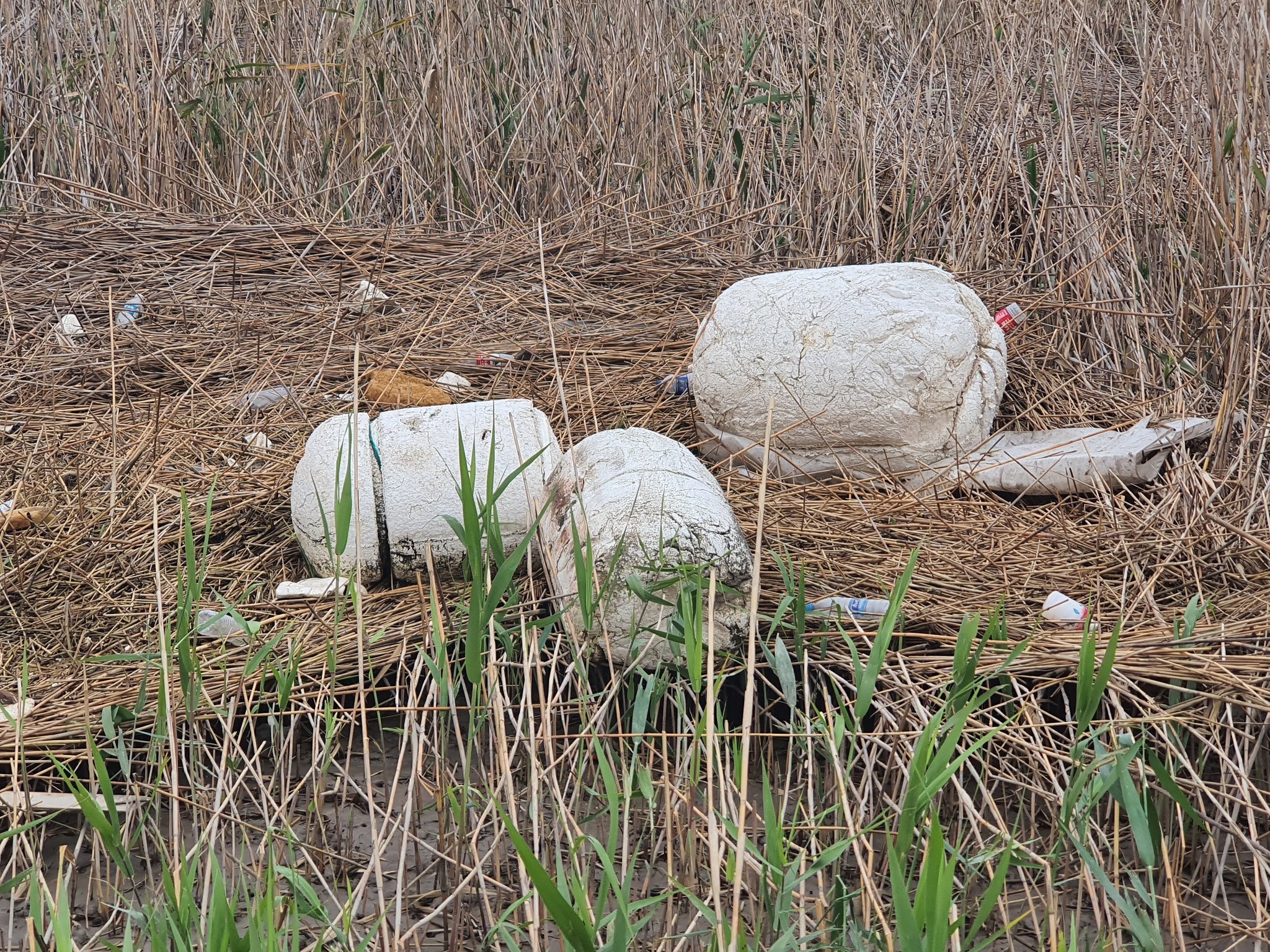 지난달 26일 찾은 양쯔강 유역 동탄 곳곳에 쓰레기가 있었다. 이곳은 중국 정부가 지정한 &#39;국가급 새 보호구역&#39;이다. 진창일 기자